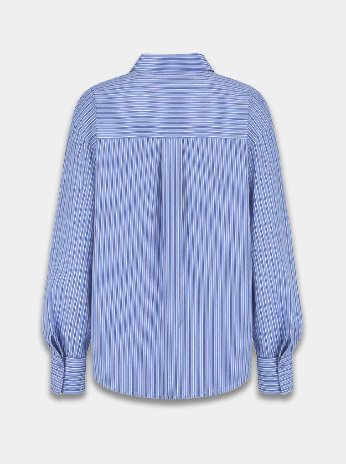H&Y Ted Camicetta